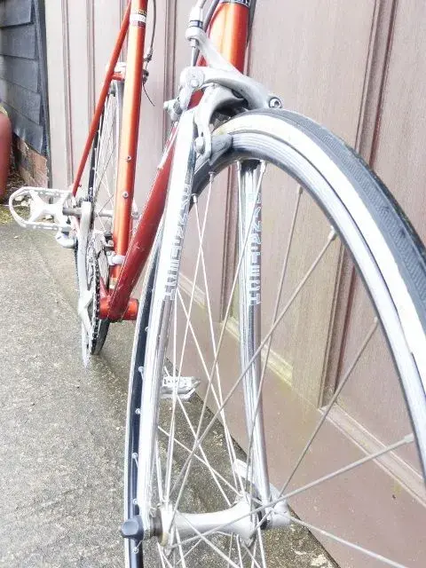 P1010903 (480x640).webp