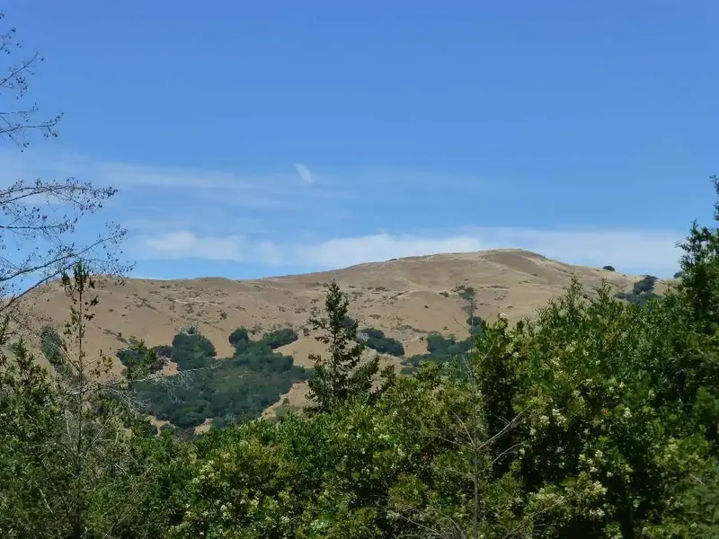 Loma Alta.webp