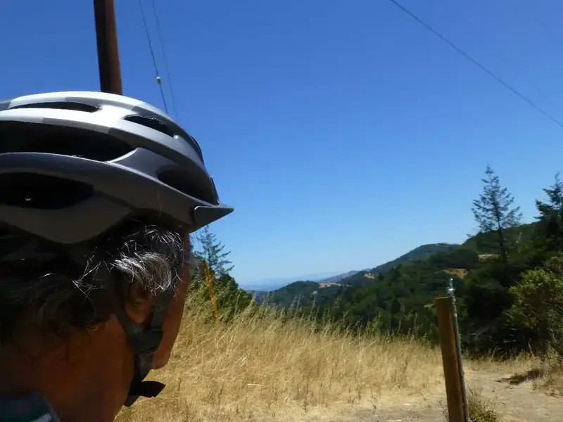Looking towards the Bay.webp