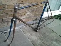 frame b.webp