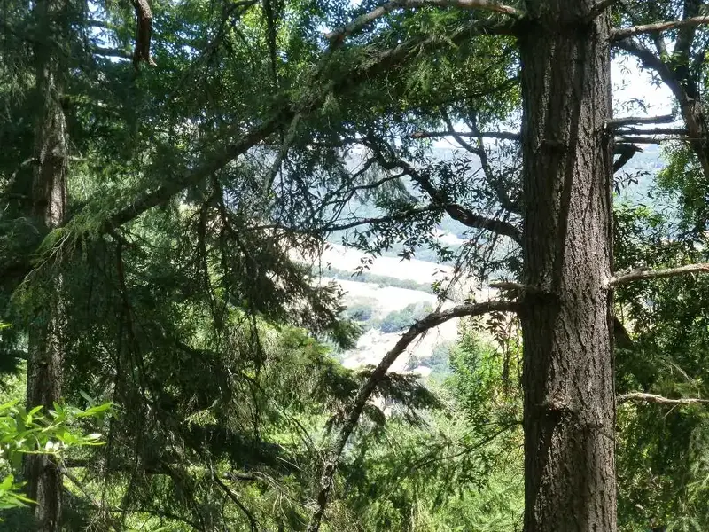 View from up high.webp