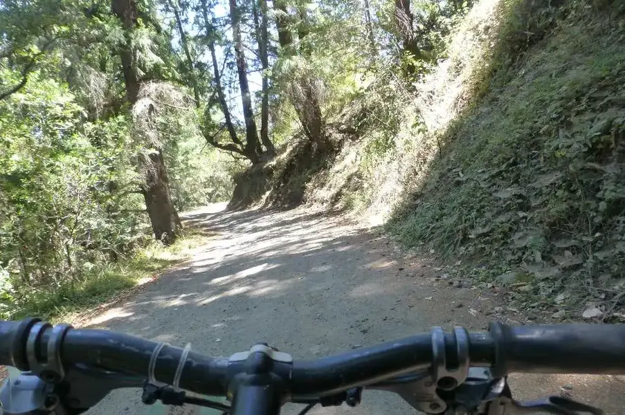 down Iron Springs fire road.webp