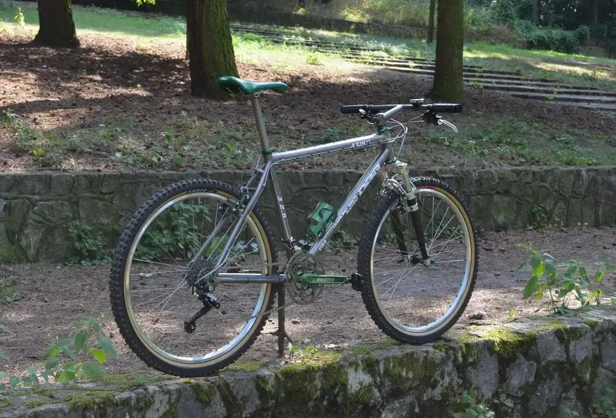 DBR Axis TT profil hinten 1 small.webp