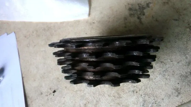 cog2.webp