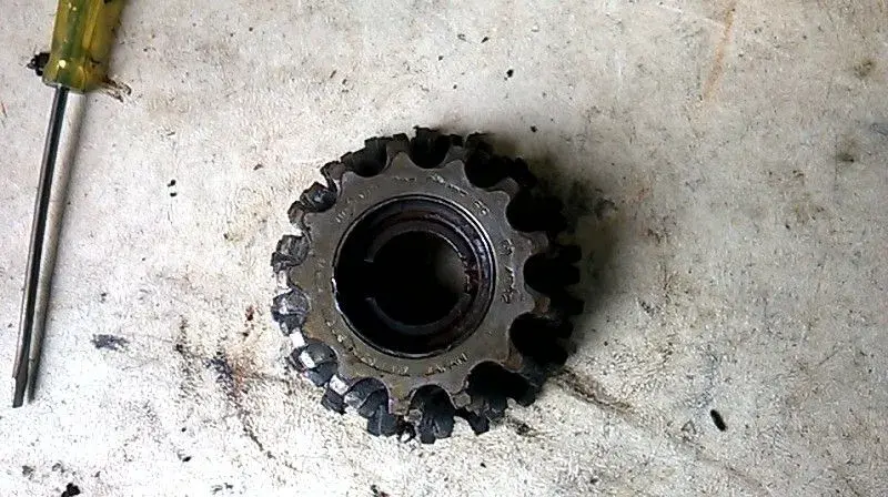 cog5.webp