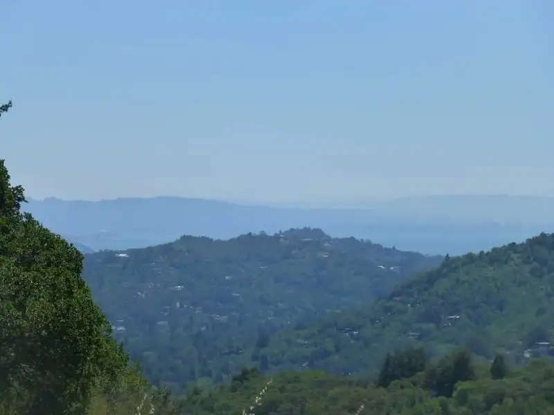 Bay in background.webp