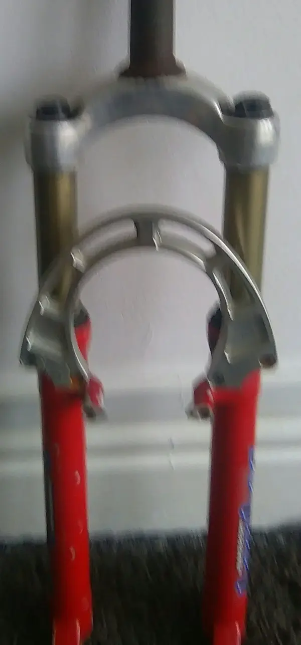 IMAG0254_1.webp