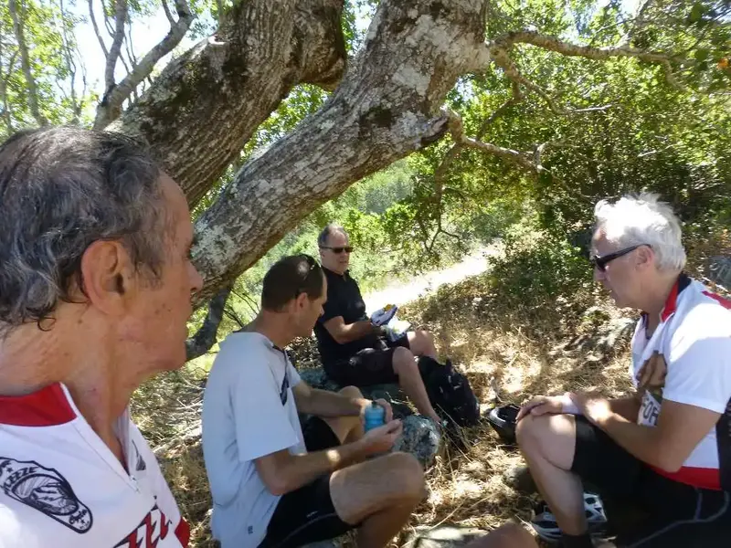 In the shade.webp