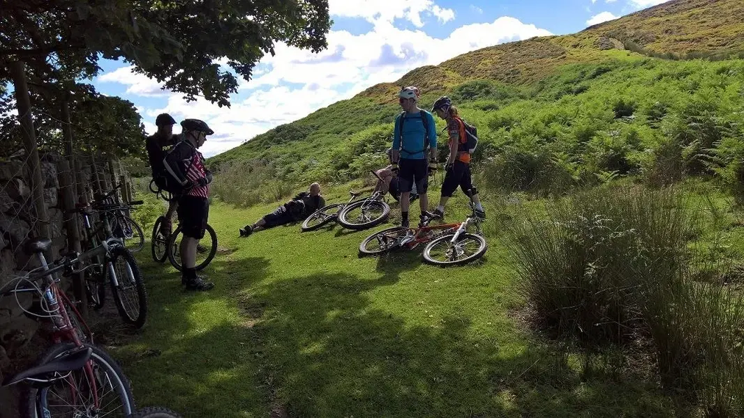 Ride5.webp
