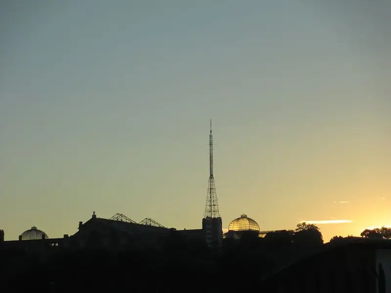 ally pally.webp