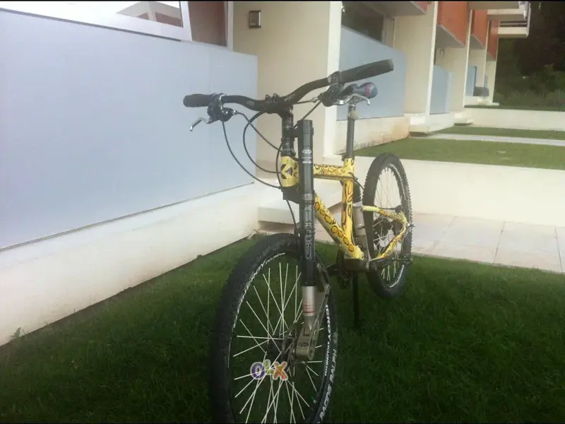 440069603_2x (1).webp