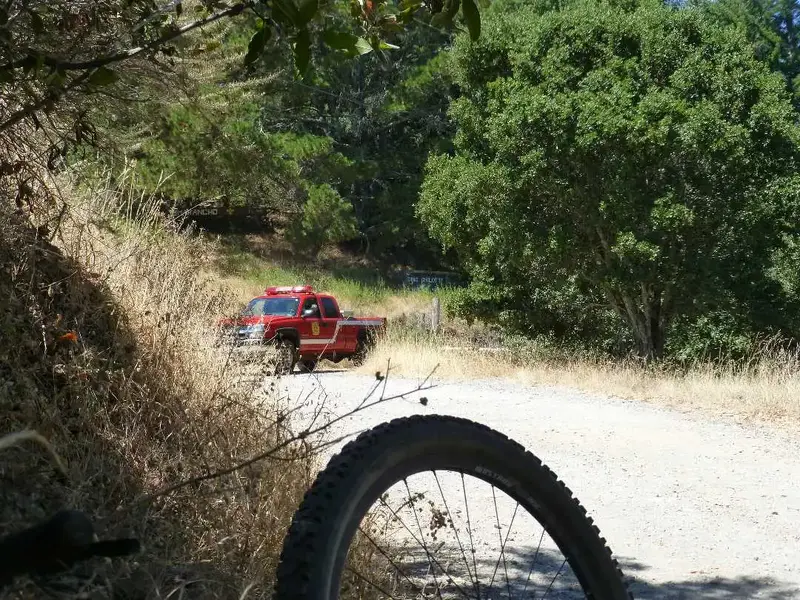 Firemen on Patrol.webp