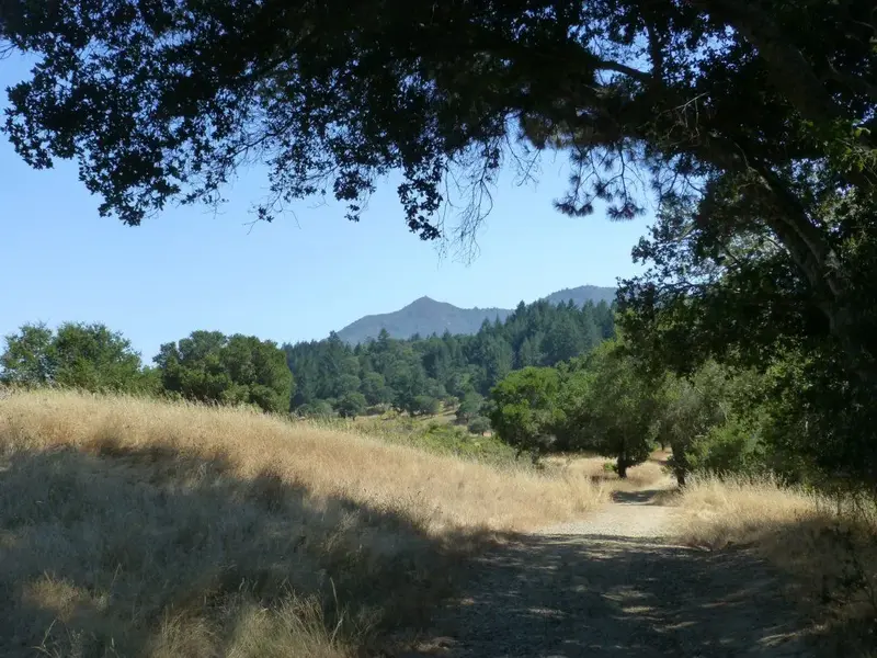 Resting spot.webp