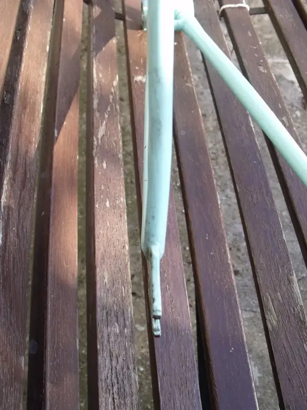 DSCF5061.webp