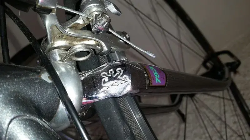 753 fork.webp