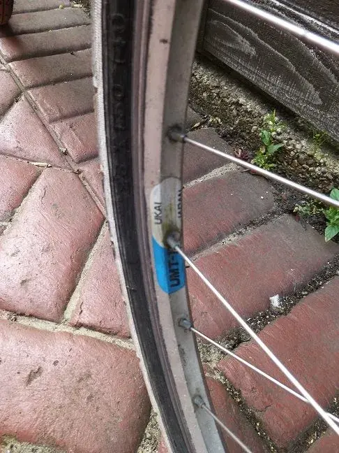 KONA 011.webp