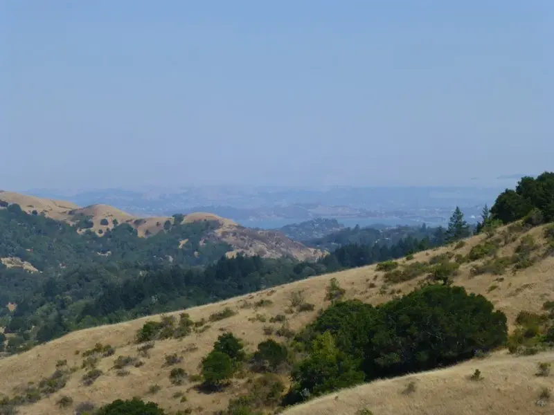 East Bay view.webp