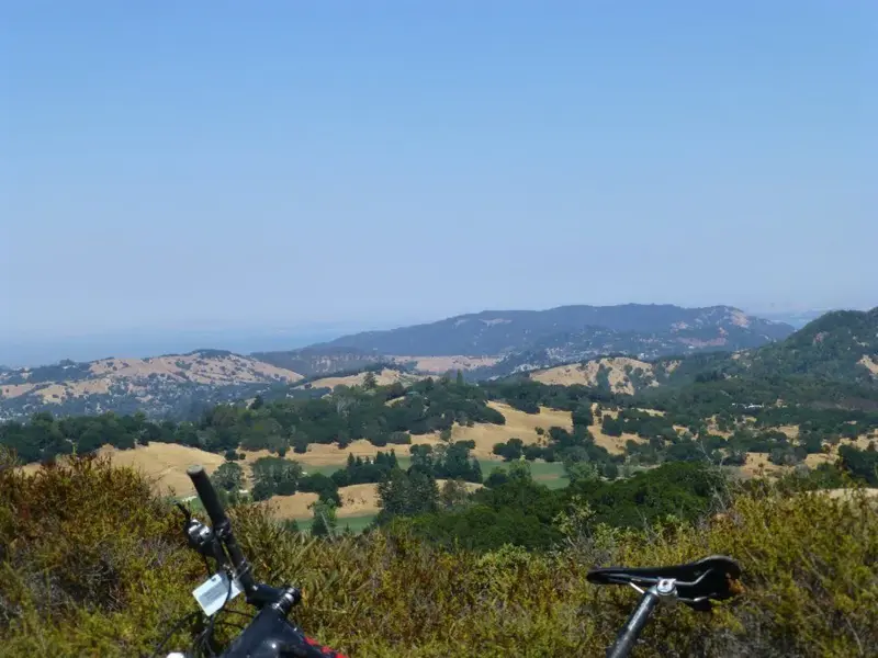 On Pine Mtn..webp
