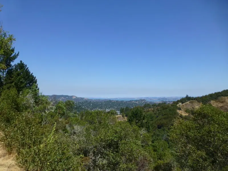 View from Eldridge Grade.webp