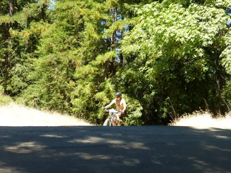 Top of fish gulch.webp