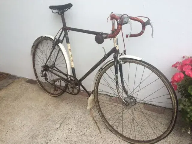 bsa.webp