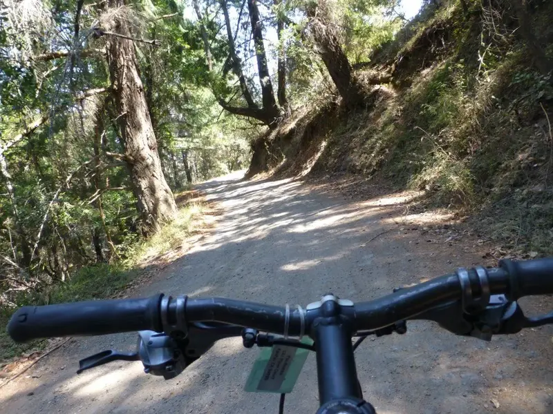 Descending.webp