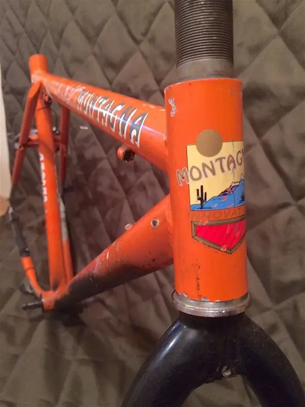 Montagna Head Badge.webp