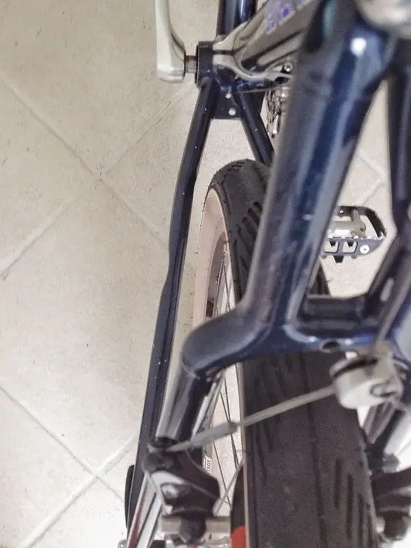Bianchi_01.webp