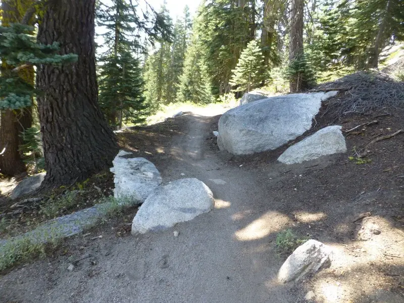 Tunnel Creek Trail climbing.webp