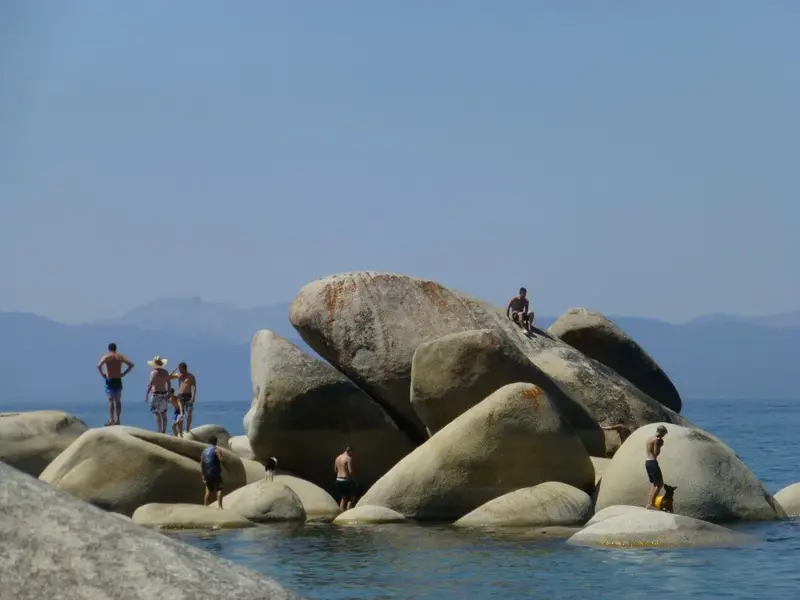 Whale Rock.webp