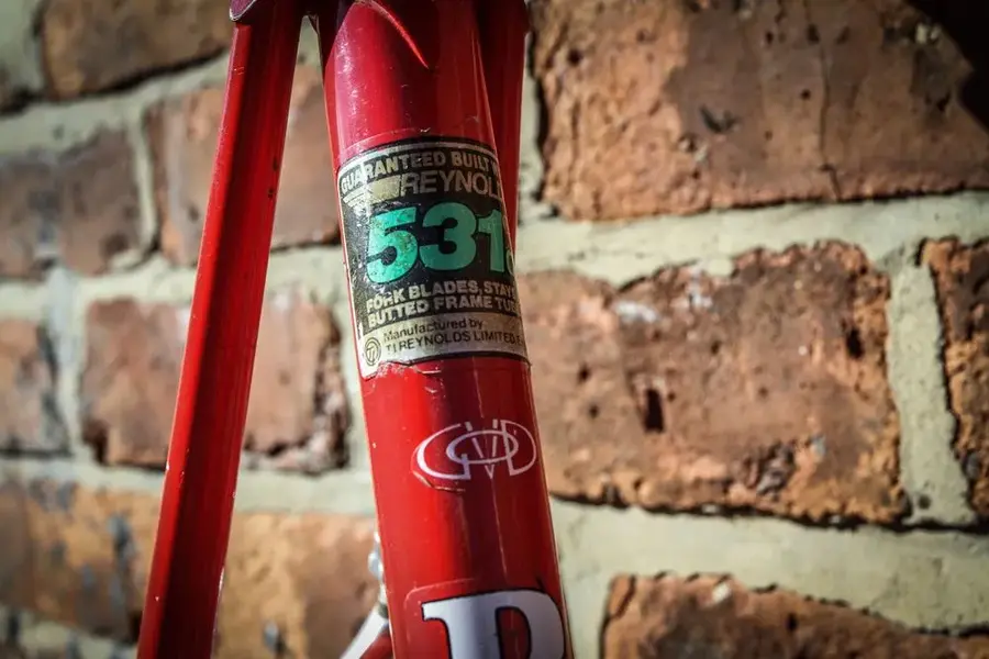 D&P-11.webp