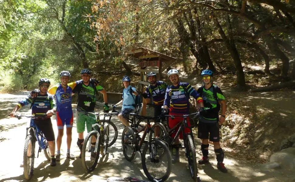 Raccoon Riders.webp