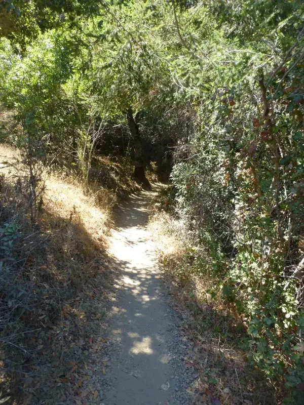 Broken Dam Trail.webp