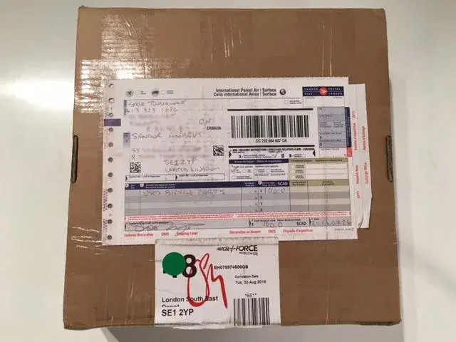 image1.webp