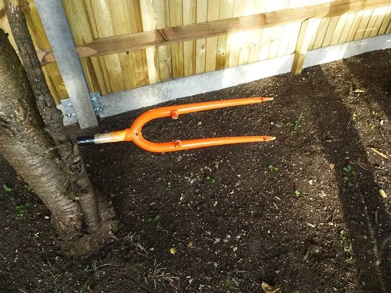 orange 001.webp