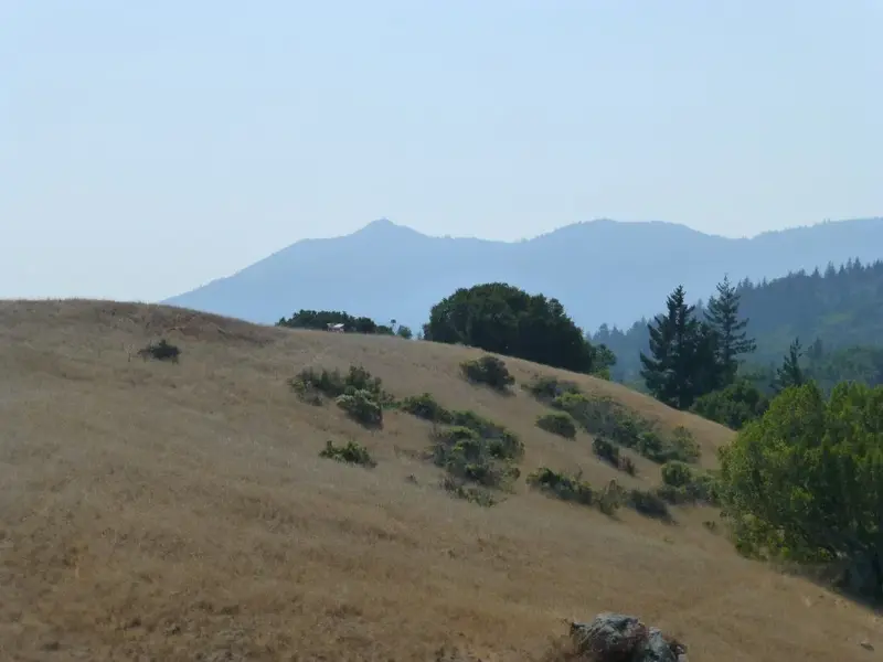 Hazy Day.webp