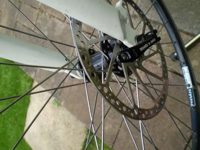 P1010031 (Medium).webp