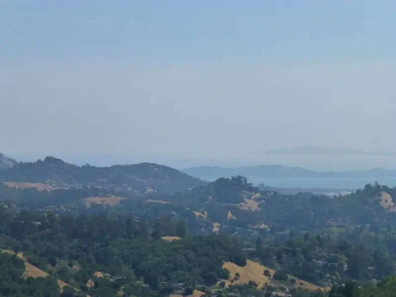 View from the Top.webp