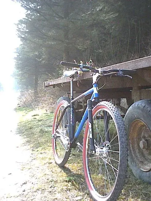 29er01.webp