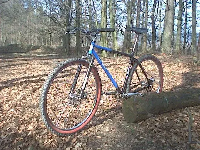 29er02.webp