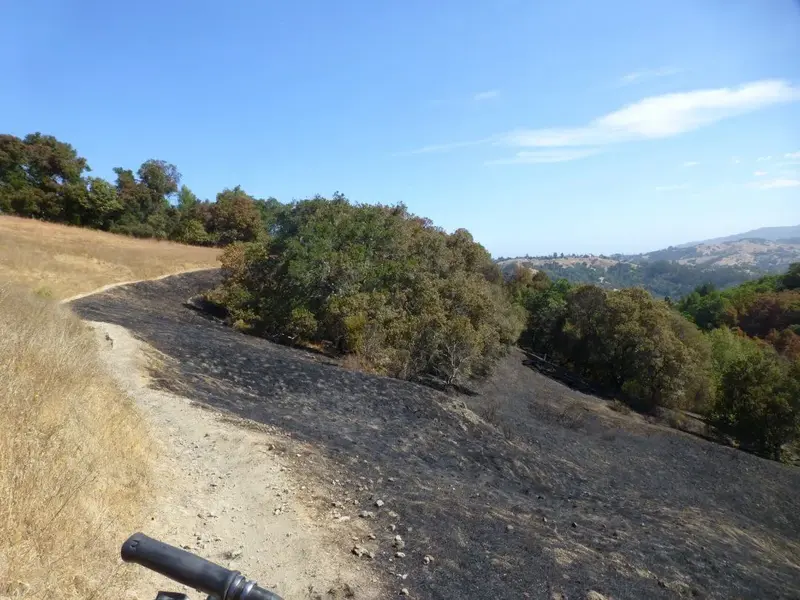 Fire Break.webp
