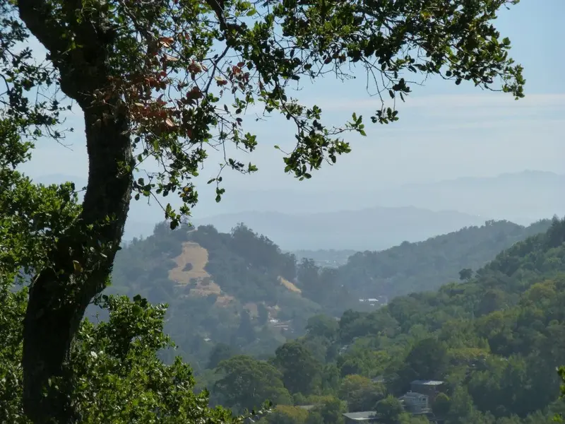 Red Hill and the Bay.webp