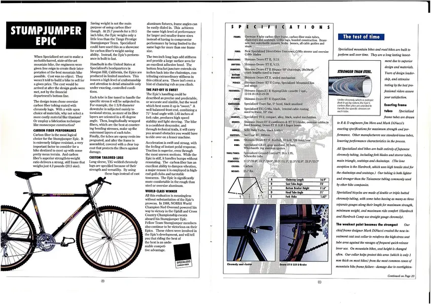 file-page11.webp