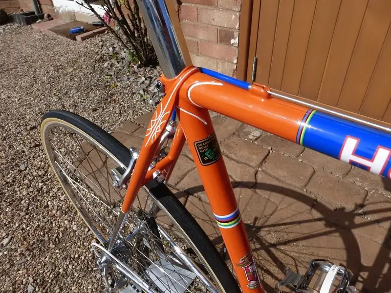 Holdsworth Prof rear1 Sept2016 TN.webp
