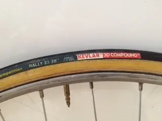 VictoriaRally2.webp