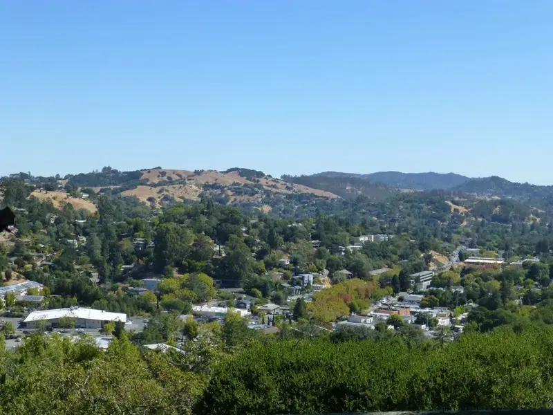 Above Fairfax.webp