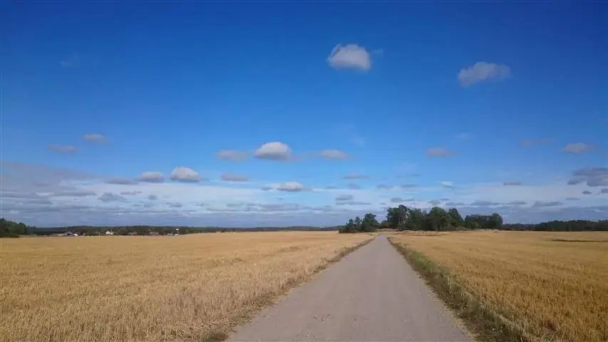 sky and field.webp