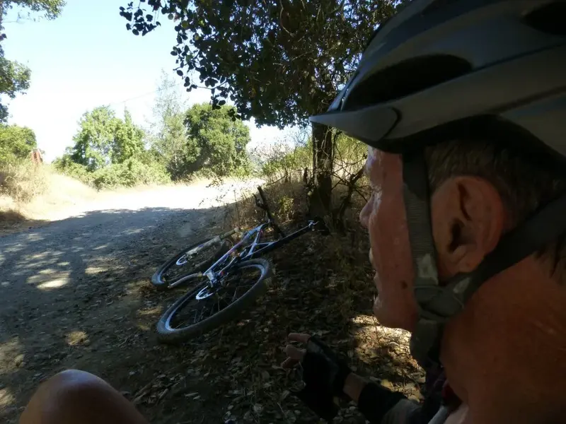 Chilling in the shade at the top.webp