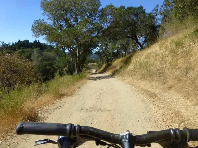 Upper Shaver Grade.webp