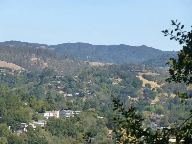 Above Fairfax.webp